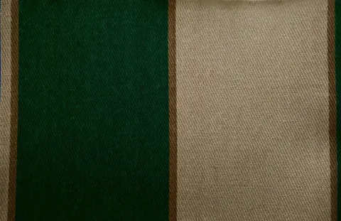 Yeşil Krem 10x10 Pamuklu Kumaş